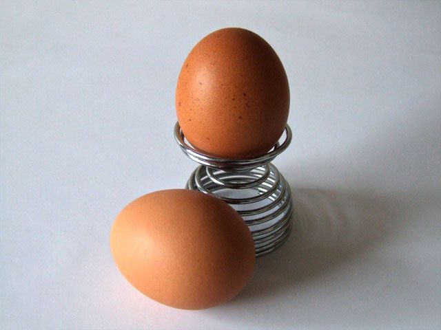 Nevýhody vaječné stravy
