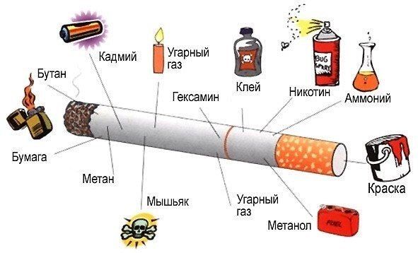 složení cigaret
